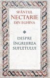 Despre ingrijirea sufletului - Sfantul Nectarie din Eghina