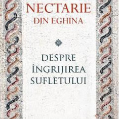 Despre ingrijirea sufletului - Sfantul Nectarie din Eghina