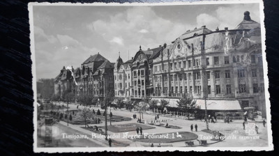 TIMISOARA - BULEVARDUL REGELE FERDINAND - PERIOADA INTERBELICA foto