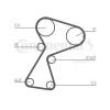 Curea distributie Contitech CT949, CONTINENTAL CTAM