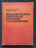 BIOMORFOLOGIA CORTICALEI OVARIENE LA MAMIFERE - Marza, Aratei