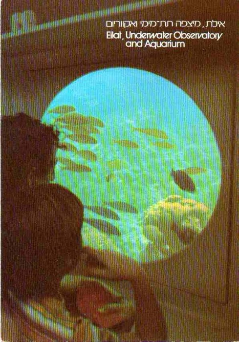 ISRAEL, Eilat, Acvariu, Pesti