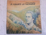 A RASARIT UN LUCEAFAR EMINESCU MIRCEA STEFANESCU teatru disc vinyl lp EXE 3356