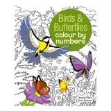 Cumpara ieftin Colour by Numbers Birds &amp; Butterflies