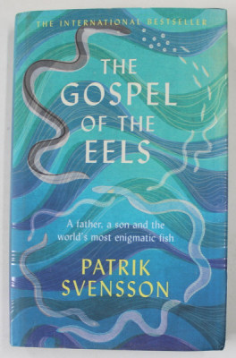 THE GOSPEL OF THE EELS by PATRIK SVENSSSON , 2020 foto