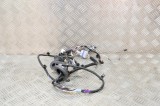 Cablaj ușă st&acirc;nga spate TESLA MODEL S 2016 OEM: 1004425-00-Q 14697363