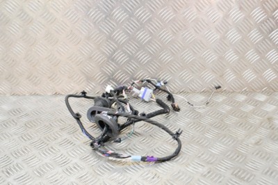 Cablaj ușă st&amp;acirc;nga spate TESLA MODEL S 2016 OEM: 1004425-00-Q 14697363 foto