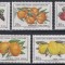 Ciprul Turc 1976 - Fructe, MNH