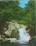 CPI B14566 - CARTE POSTALA - COVASNA. CASCADA VALEA ZANELOR, Circulata, Fotografie