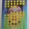 A SLOW DEATH - 83 DAYS OF RADIATION SICKNESS , 2008,