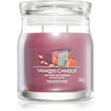 Yankee Candle Autumn Daydream lum&acirc;nare parfumată Signature 368 g