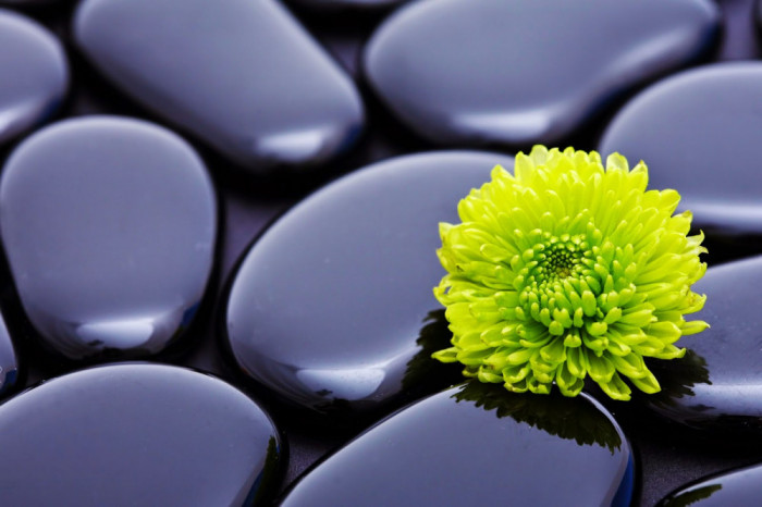 Fototapet de perete autoadeziv si lavabil Crizantema verde cu pietre, 300 x 200 cm