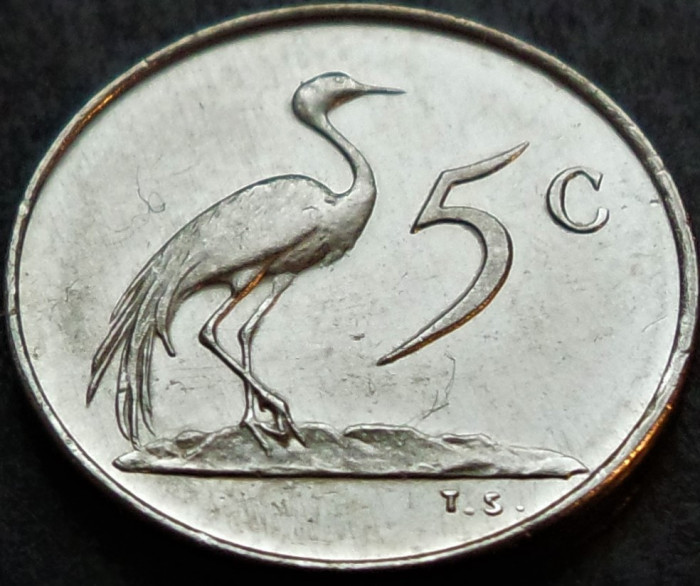 Moneda exotica 5 CENTI - AFRICA de SUD, anul 1973 * cod 4865 = A.UNC