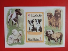 RAS AL KHAIMA, C&Acirc;INI - COLIȚĂ MNH
