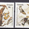 Grenada 1985 fauna pasari Audubon MI 1343-1346 MNH