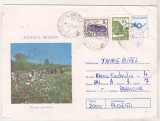 Bnk ip Judetul Brasov - Poiana narciselor - circulat 1993, Dupa 1950