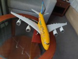 Macheta uriașă de avion ANA cu Pok&eacute;mon | Decoratie | Perfect pt Cadou