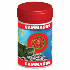 Exo Gammarus 120 ml Cutie