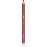 Cumpara ieftin Bourjois Velvet Contour creion contur buze culoare 19 Place des Roses 1,14 g