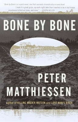 Bone by Bone: Shadow Country Trilogy (3) foto