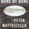 Bone by Bone: Shadow Country Trilogy (3)