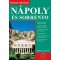 N&aacute;poly &eacute;s Sorrento - &Uacute;tikalauz - Michael Leech