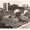 CPIB 22592 - CARTE POSTAL - CONSTANTA. VEDERE SPRE B-dul REPUBLICII