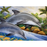Prima pictura pe numere junior mare - Insula delfinilor, Jad