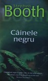 C&acirc;inele negru - 2005 - Stephen Booth (@N42)