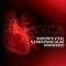 2020 ACLS Provider Manual