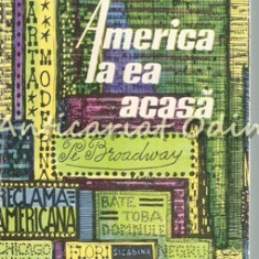 America La Ea Acasa - Sergiu Farcasan