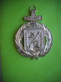 HOPCT MEDALIE MILITARA-ONOARE-EMBLEMA DE ONOARE A COMUNICATIILOR SI INFORMATI[2]