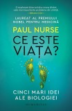 Cumpara ieftin Ce Este Viata?Cinci Mari Idei Ale Biologiei, Paul Nurse - Editura Humanitas