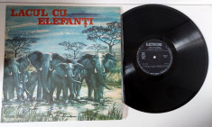 Lacul cu elefanti, poveste teatru radiofonic, disc vinil vinyl povesti, placa foto