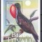 DB1 Fauna Pasari Tuvalu 2000 SS MNH