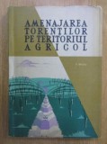 Amenajarea torentilor pe teritoriul agricol - Vasile Baloiu