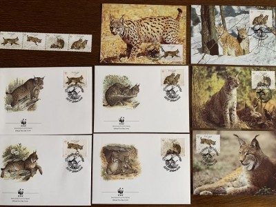 portugalia - feline - serie 4 timbre MNH, 4 FDC, 4 maxime, fauna wwf foto