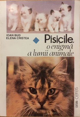 Pisicile, o enigma a lumii animale foto