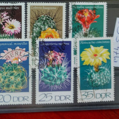 TS21 - Timbre serie DDR - 1974 Mi1922-27 Flora cactusi