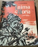 DVP3 Inima lui Horia - C. Ghiban