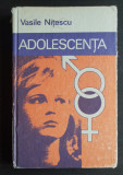 Adolescența - Vasile Nițescu