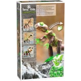Set de constructie dinozauri Terra Kids, Haba
