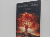 Un blestem pentru iubire Stephanie Garber