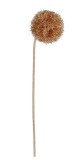 Floare artificiala aurie Allium &Oslash;13x80h