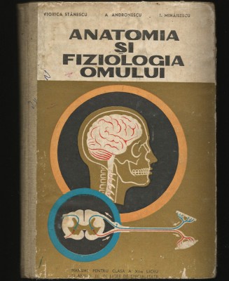 ANATOMIA ȘI FIZIOLOGIA OMULUI - A. ANDRONESCU, I. MIHĂILESCU - MANUAL BIOLOGIE, CLASA A XI-A foto