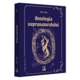 Lumi magice I ? antologia supranaturalului, Silviu Leahu