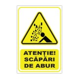 Indicator de avertizare &bdquo;Atenție! Scăpări de abur&rdquo;