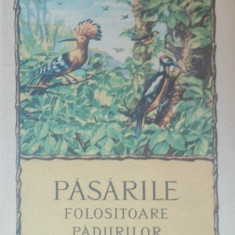 PASARILE FOLOSITOARE PADURILOR - MIRCEA ENE, 1954