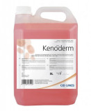 Sapun lichid pentru dezinfectarea mainilor Keno Derm 5 litri, Cid Lines