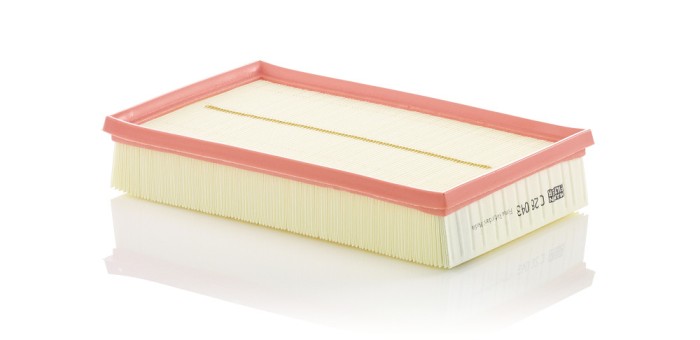 MANN-FILTER C 28 043 Filtru aer